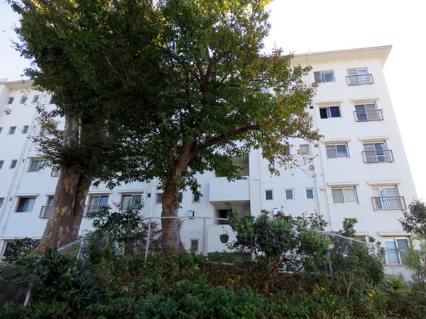 ガーデン山団地4号棟 5