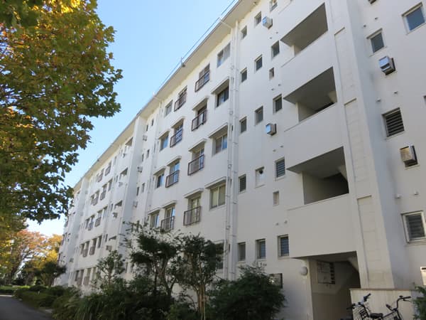 ガーデン山団地6号棟 5