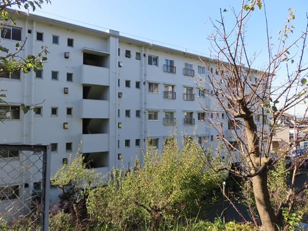 ガーデン山団地11号棟 3