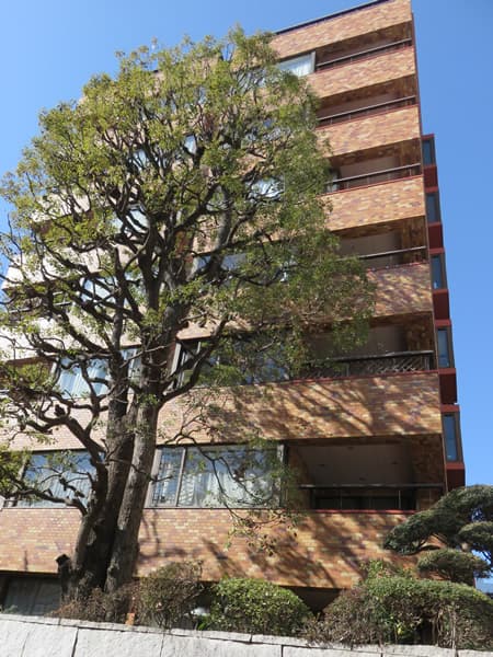 東高参宮橋ペアシティ 6