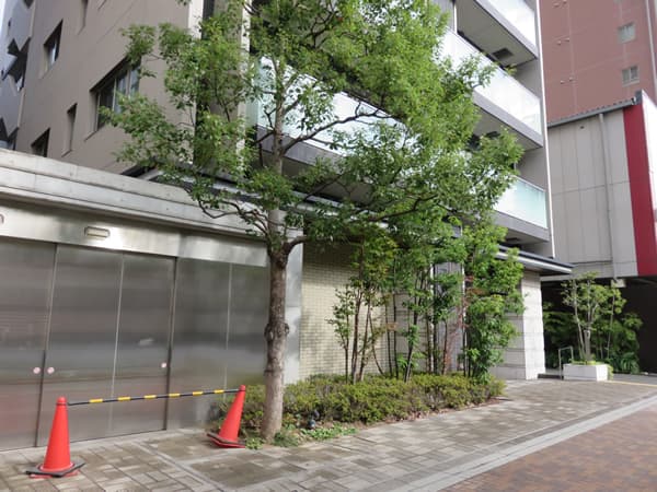 クラッシィスイートジオ東麻布 13