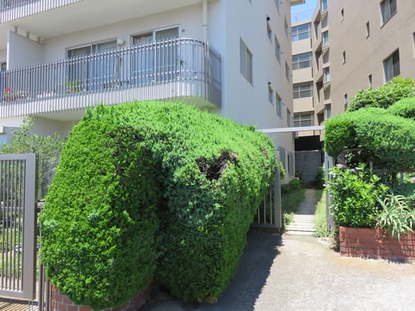 高島台ハウス 11