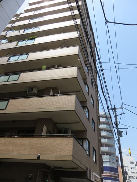 セザール横浜関内 5