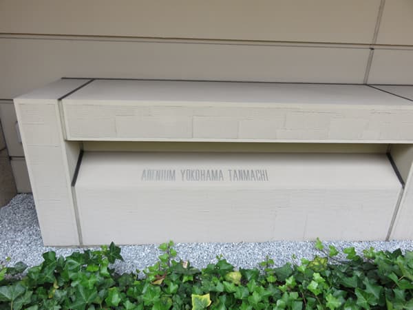 アデニウム横浜反町 17