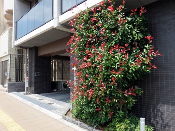 オーランド横濱反町 12