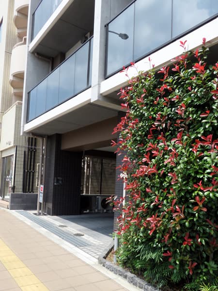 オーランド横濱反町 13