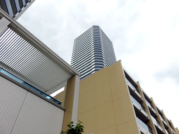 ザ・ヨコハマタワーズサウスコート 50