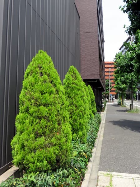 フェニックス新横浜クアトロ 12