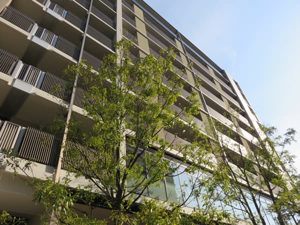 美しが丘ドエリングB棟 1