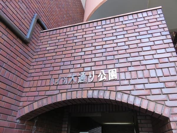 ハイツ大通り公園 5