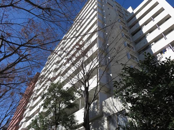 初台パークサイドハイツ 1