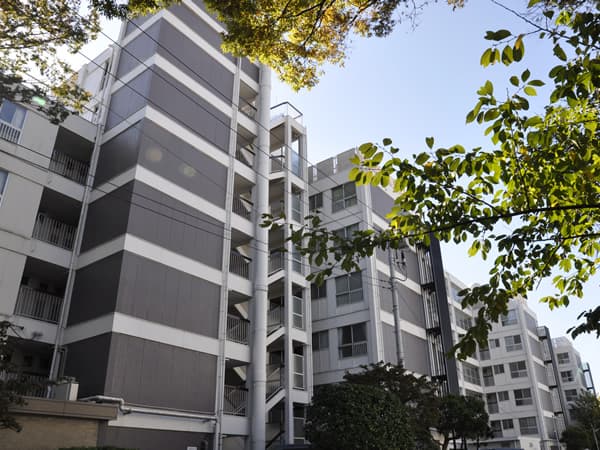 篠原コーポラスD棟 3