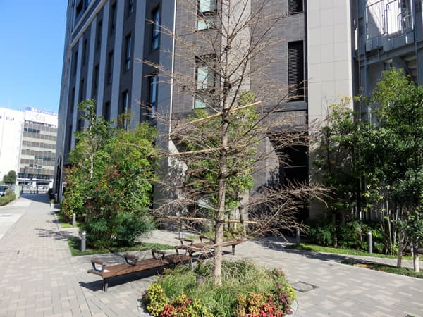 ブランズ横濱馬車道レジデンシャル 12