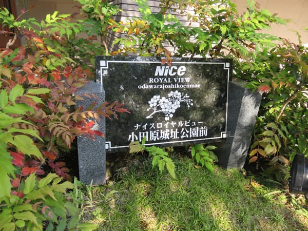 ナイスロイヤルビュー小田原城址公園前 8