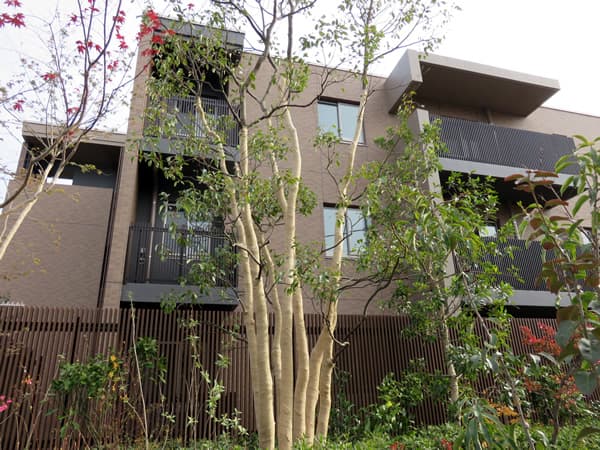 ザ・パークハウスあざみ野一丁目 6