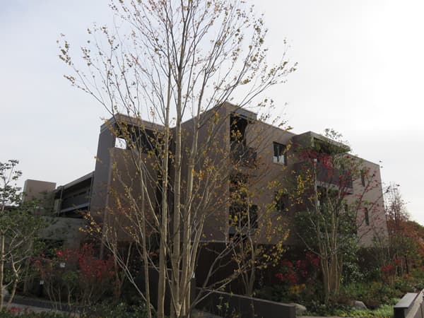 ザ・パークハウスあざみ野一丁目 8