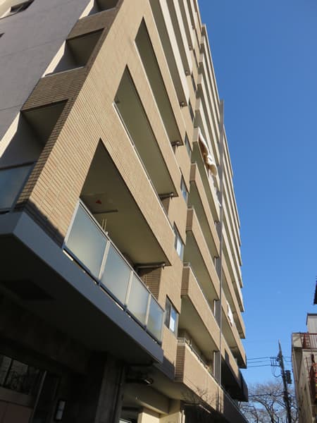 サンアリーナ相模原西門桜通り 2