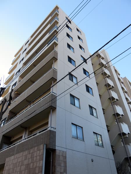 サンアリーナ相模原西門桜通り 6