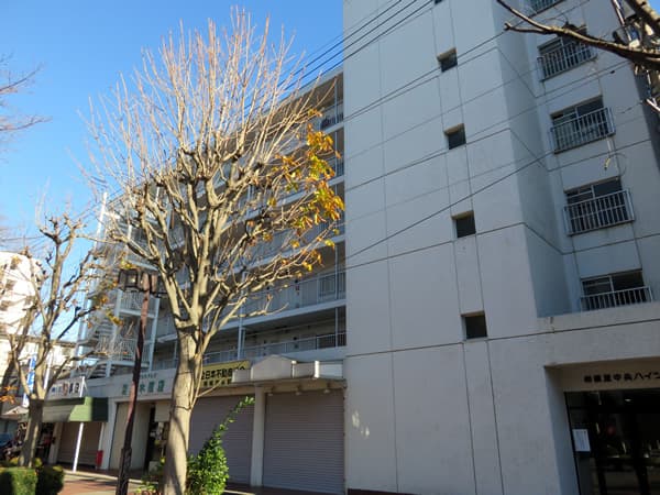 相模原中央ハイツ 6
