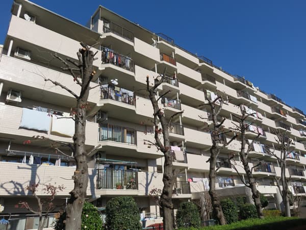 マートルコート相模原 5