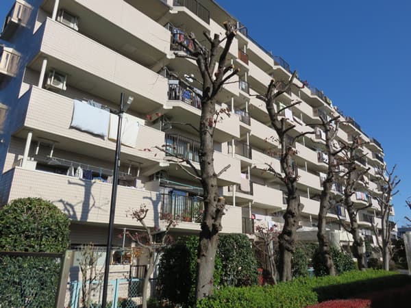 マートルコート相模原 6