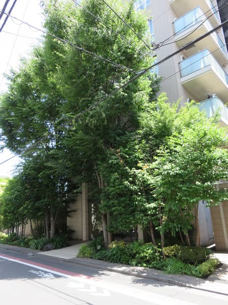 アールブラン西蒲田レジデンス 8