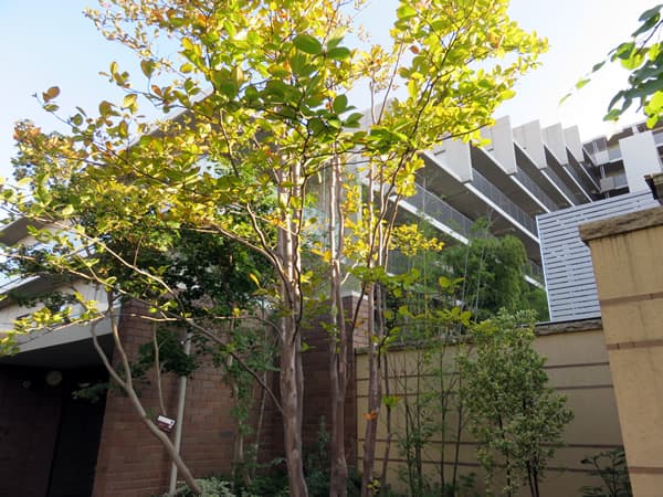 グランドメゾン狛江 2