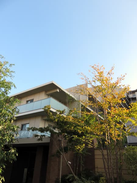 グランドメゾン狛江 3