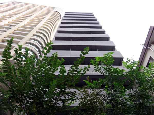 デュアレス愛宕虎ノ門 1