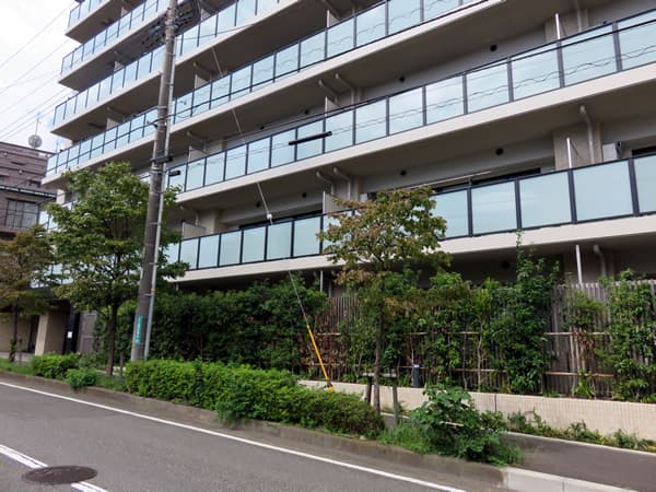 クレヴィア相模大野ラテラス 5