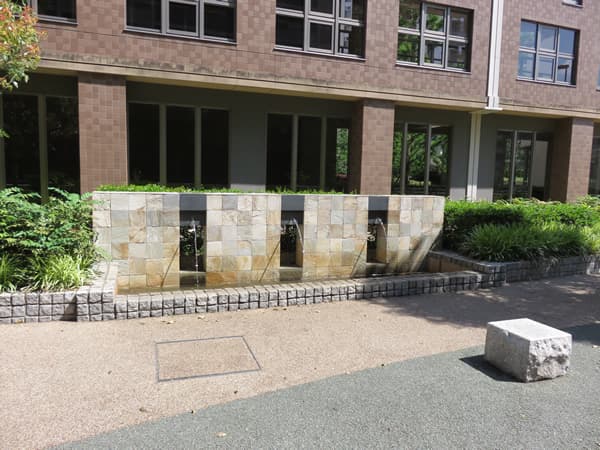 スターコート豊洲センターコート 5