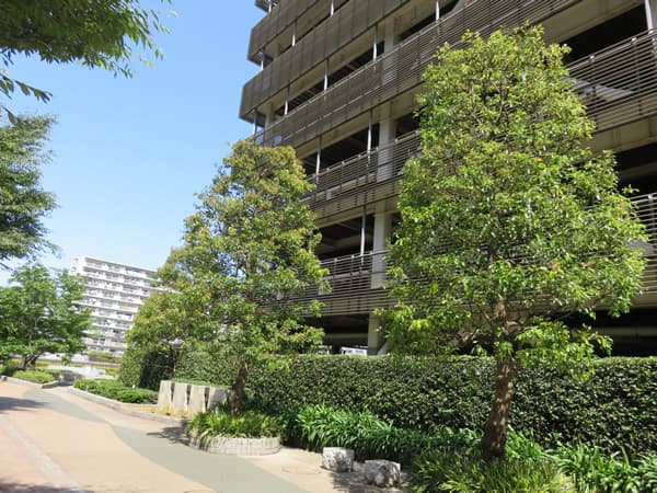 スターコート豊洲センターコート 9