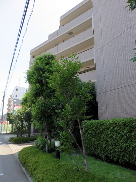 ネオステージ相模大野 4