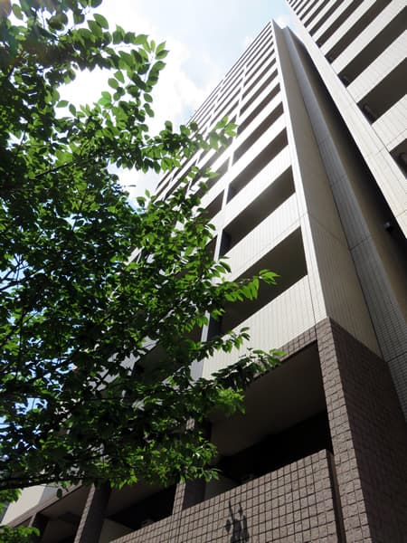 スカイコート巣鴨 2