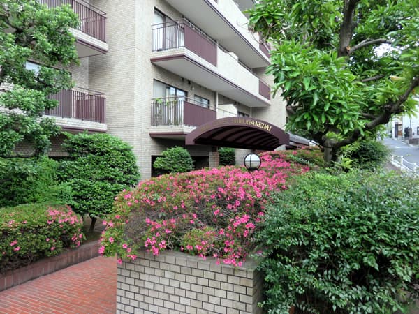 ハイクレスト白金台 4