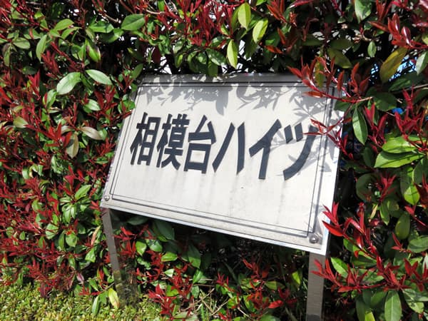 相模台ハイツA号棟 6