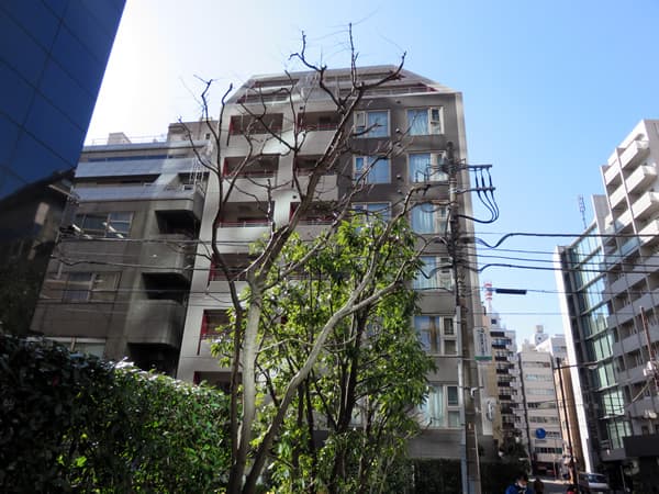 チェスターハウス九段下 3