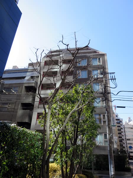 チェスターハウス九段下 4