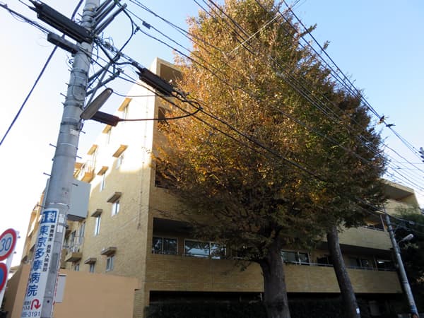 インディペンデンスヴィレッジ成城西 4