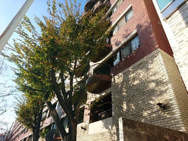 インペリアル広尾 2