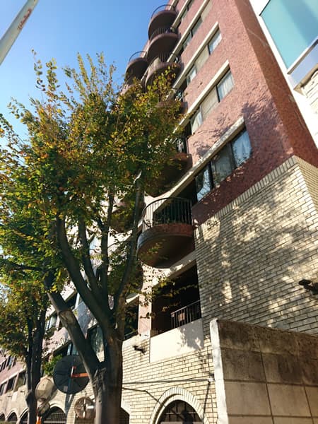 インペリアル広尾 3