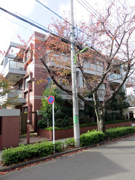 サンクタス世田谷喜多見 8