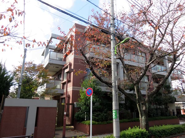 サンクタス世田谷喜多見 9