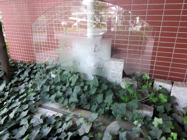 サンクタス世田谷喜多見 11