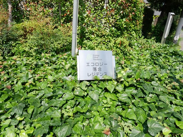 エコロジー落合レジデンス1 11