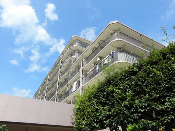 さがみ野サンハイツB棟 3