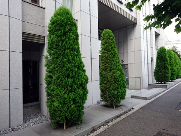 フォレスト早稲田レジデンス 6