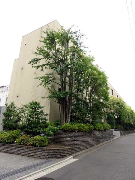 南青山ライズハウス 2