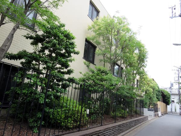 南青山ライズハウス 18