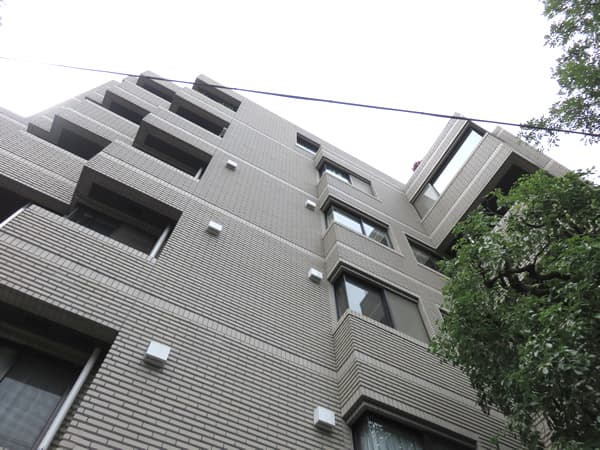 南青山豊田パークマンション 5